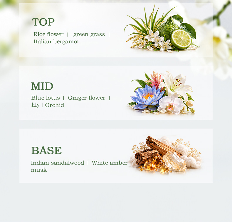 1791511691405178.jpg dq1229-wet-garden-fragrance-oil (3).jpg