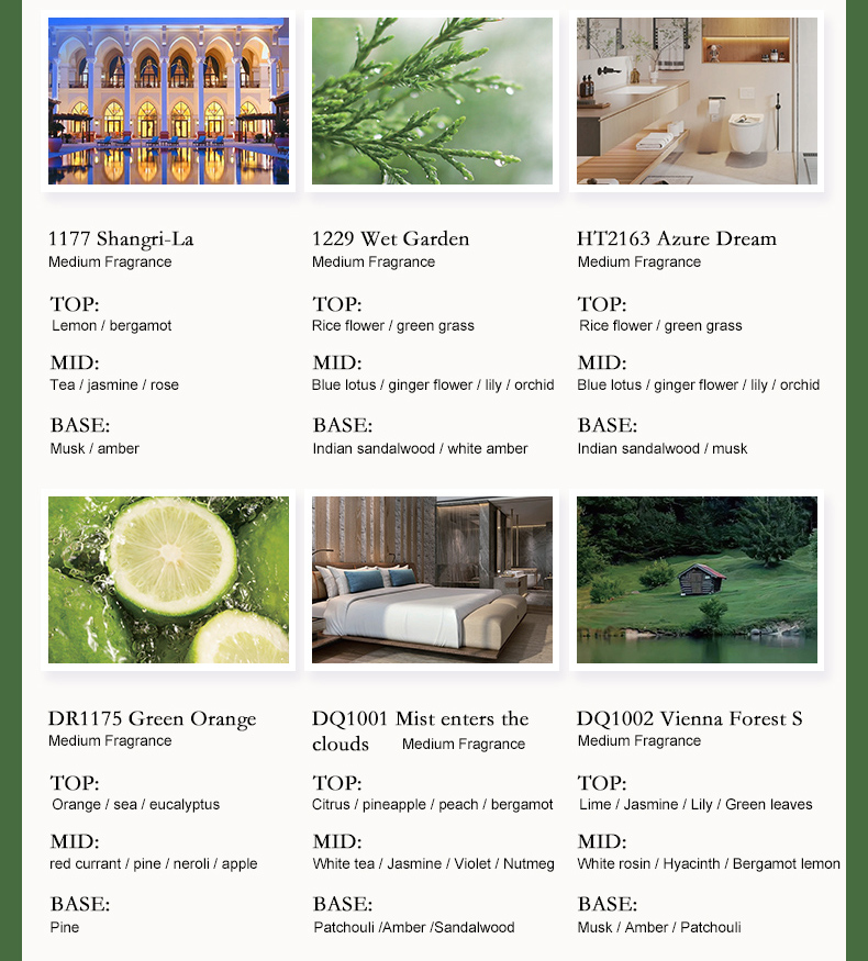 1791511877584826.jpg dq1229-wet-garden-fragrance-oil (10).jpg