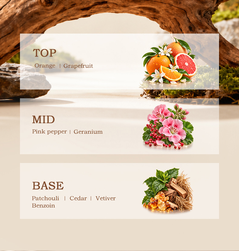 pf2191-spicy-woody-fragrance-profile (3).jpg