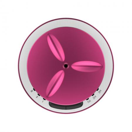 car diffuser